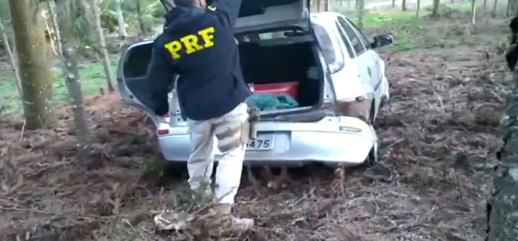 VÍDEO: Imagens mostram PRF em perseguição a veículo carregado com Maconha.
