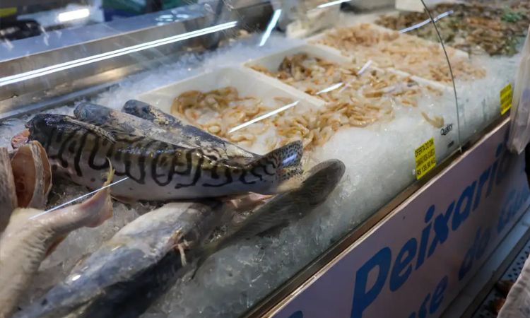 Vigilância Sanitária orienta consumidores sobre a compra e conservação de peixes para a Semana Santa