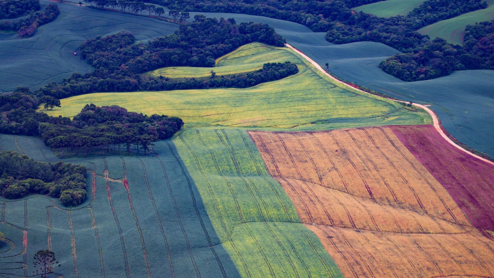 VITÓRIA DO PARANÁ: TRF4 MANTÉM CÓDIGO FLORESTAL E GARANTE SEGURANÇA JURÍDICA AO AGRONEGÓCIO VITÓRIA DO PARANÁ: TRF4 MANTÉM CÓDIGO FLORESTAL E GARANTE SEGURANÇA JURÍDICA AO AGRONEGÓCIO